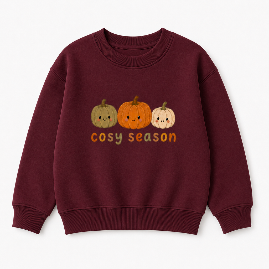 Cosy season kids autumn jumper, t shirt or hoodie