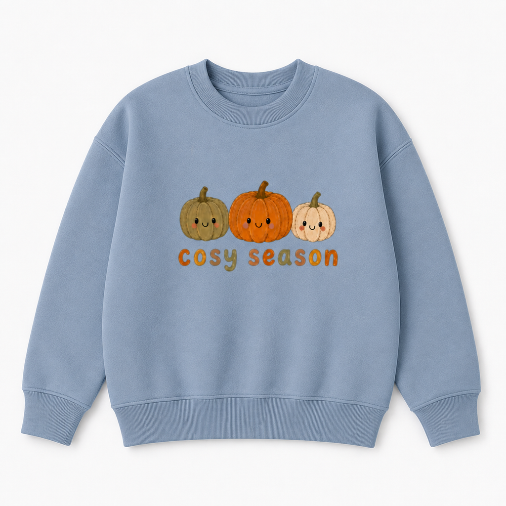 Cosy season kids autumn jumper, t shirt or hoodie