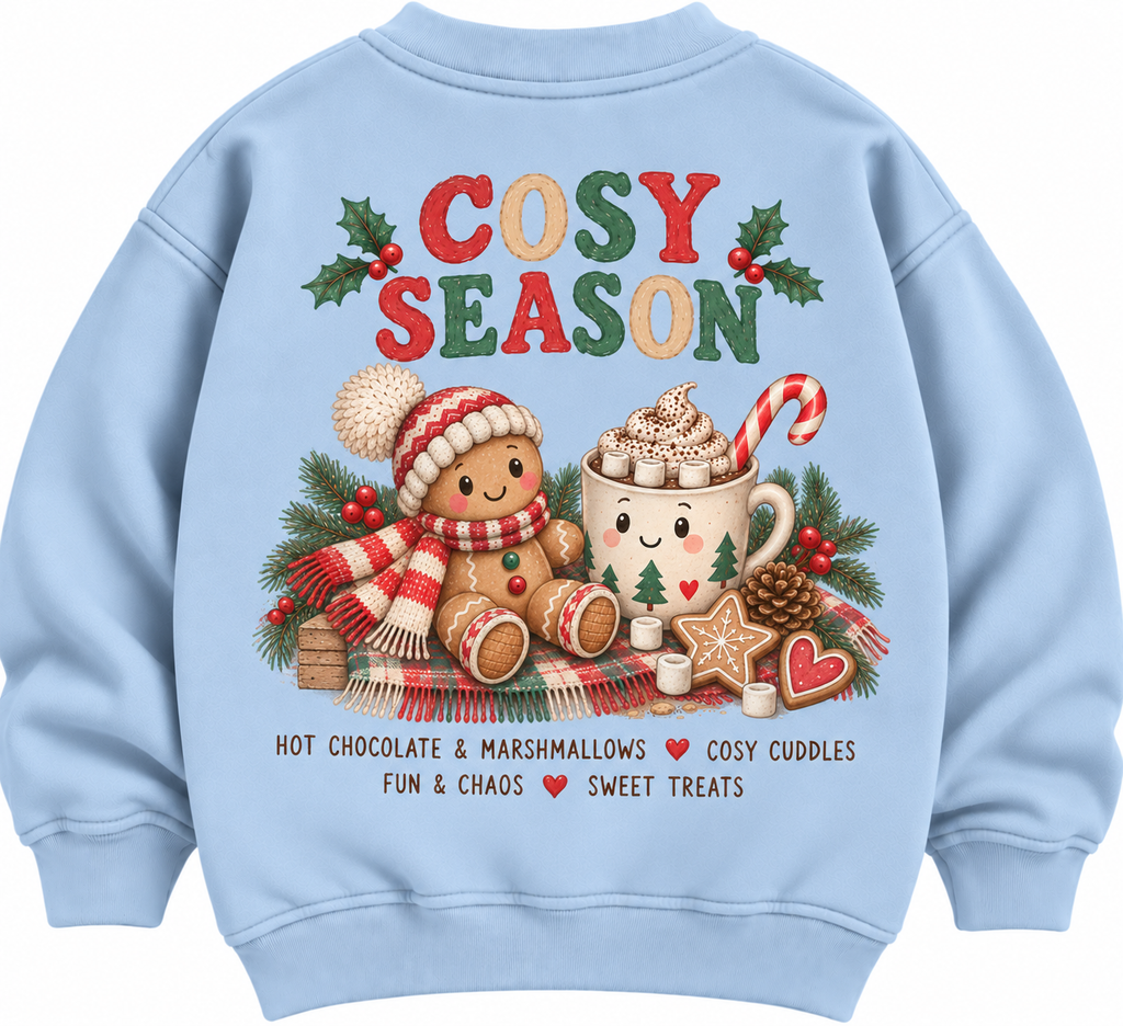 Cosy Season Christmas T shirt, Jumper or hoodie